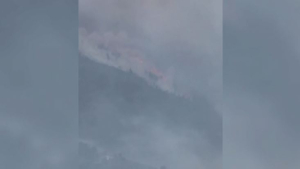 Лесной пожар разгорелся на границе Франции и Испании