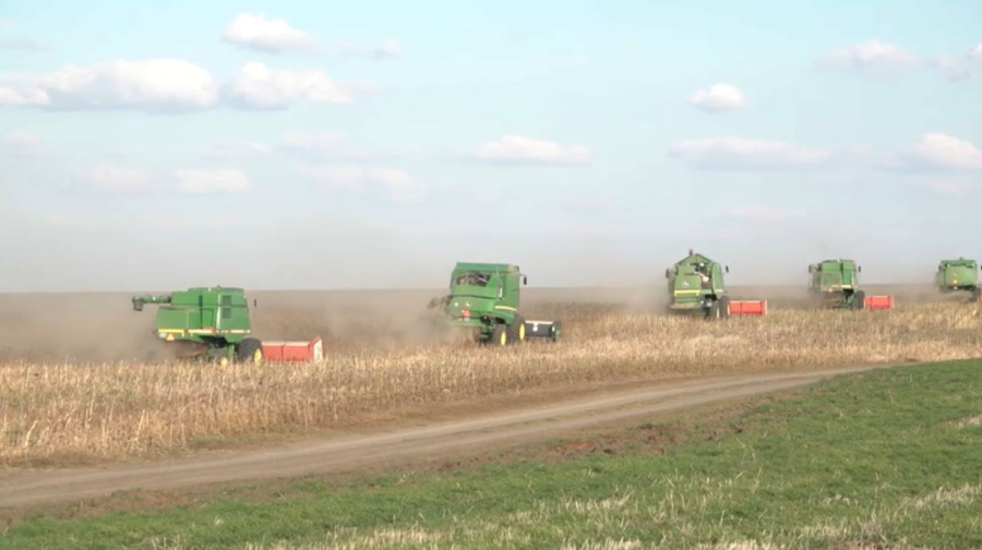 БҚО-да дәнді дақылдардан рекордтық өнім жиналды