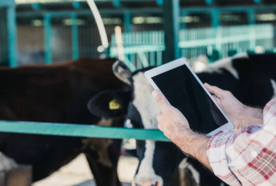 Сельскохозяйственная перепись стартовала в Казахстане