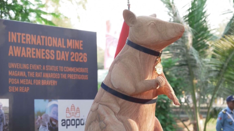 Камбоджада егеуқұйрыққа ескерткіш қойылды