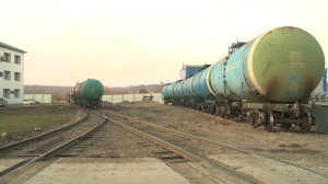 Свыше 80 тыс. тонн масла экспортировал восточноказахстанский маслозавод «Altyn Shygys»