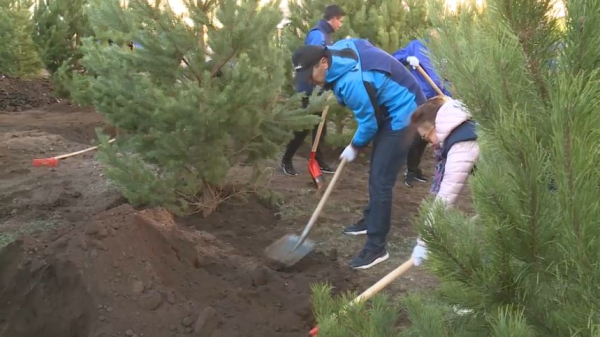 «ҚазМұнайГаз» қызметкерлері көшет екті