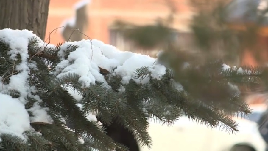 От минус 33 до плюс 8: озвучен прогноз погоды в Казахстане