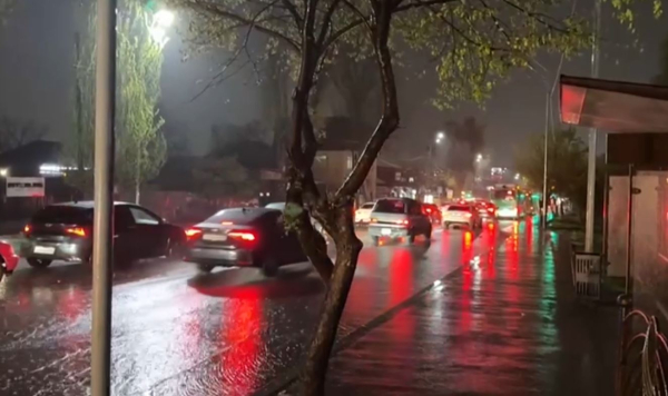 Ливень, сильный ветер, поваленные деревья: непогода обрушилась на Алматы