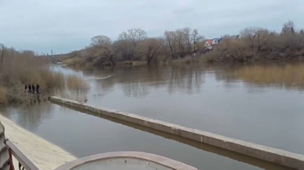 В Кургане звучат сирены из-за угрозы паводка