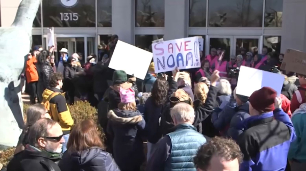 В США протестуют против сокращений