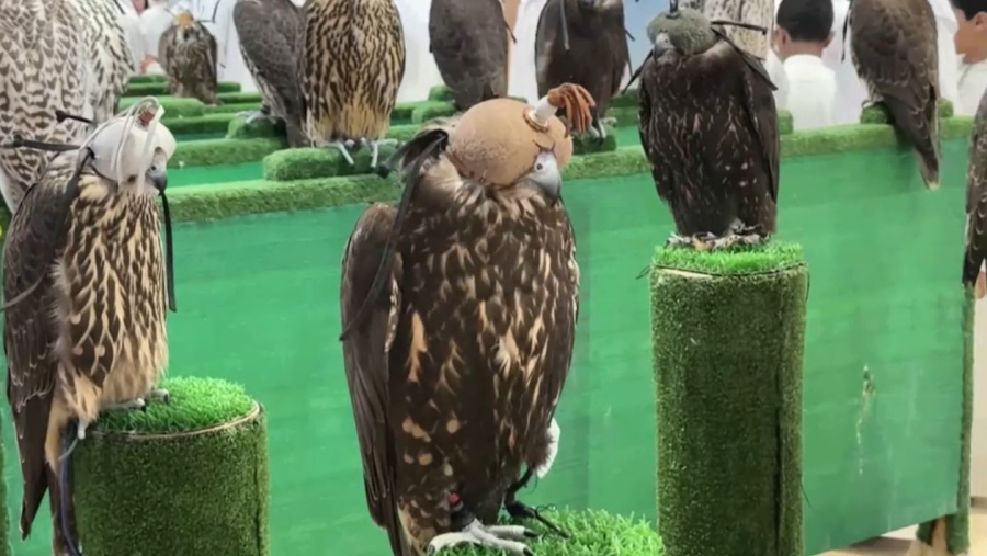 Абу-Дабиде саятшылыққа арналған халықаралық көрме өтті