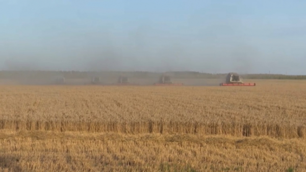 Финансирование весенне-полевых и уборочных работ доведут до ₸700 млрд