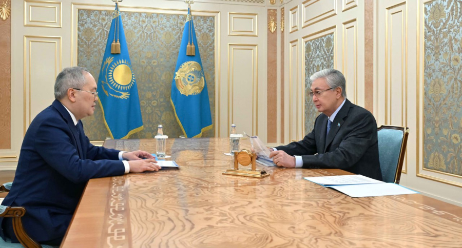Президент Қаржылық мониторинг агенттігінің төрағасы Жанат Элимановты қабылдады