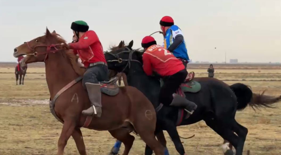 Командалық көкпардан жарыс көбейеді