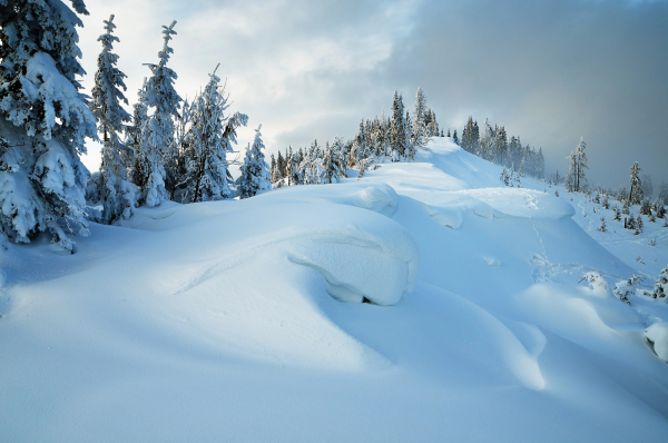 Подготовка к паводкам: 71% площади Казахстана покрыто снегом