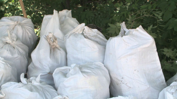 Өскеменде қараусыз қалған тоғай іші тазаланды