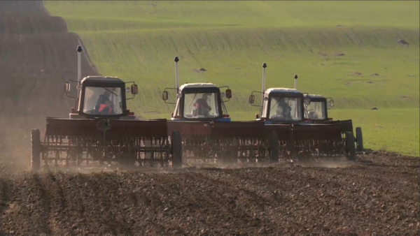 Егіс жұмыстарына берілетін жеңілдетілген несие субсидияланбайды