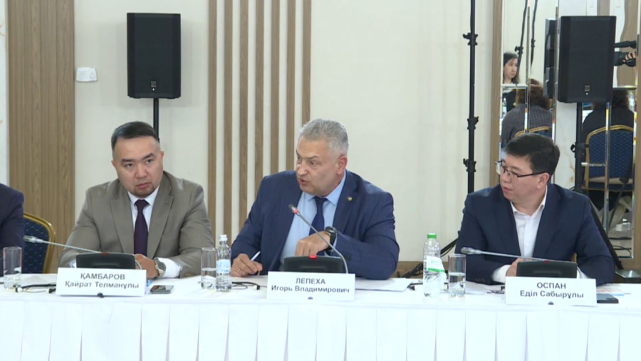 Мәжіліс жанындағы қоғамдық палата отырысында тұрмыстағы зорлық туралы заңның орындалуы талқыланды