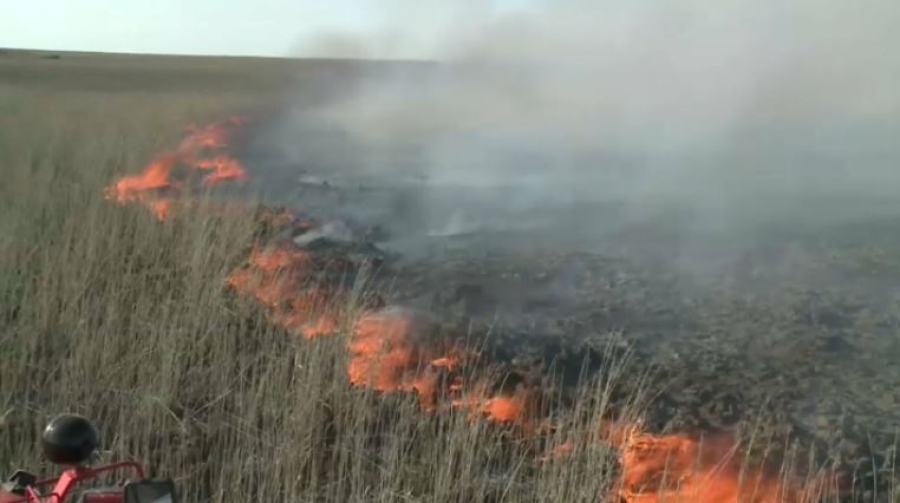Степные пожары тушат в Атырау