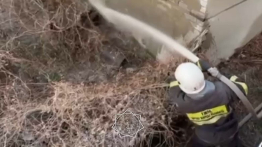 Павлодарда құрғақ шөп пен саяжай үйлеріндегі өрт оқшауланды