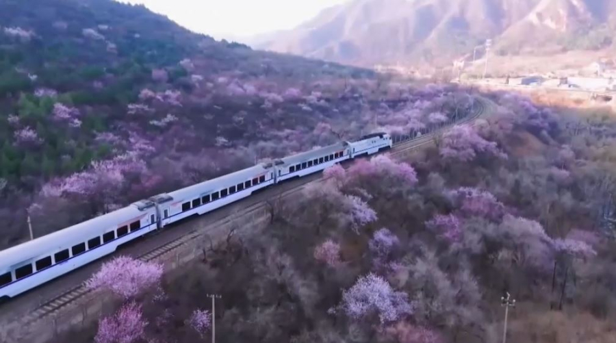 Қытайда туристер көбейді