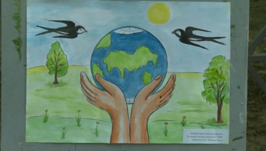 Всемирный день охраны окружающей среды отметили в Шымкенте