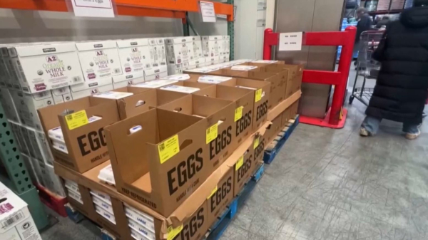 Цены на яйца в США обновили рекорд