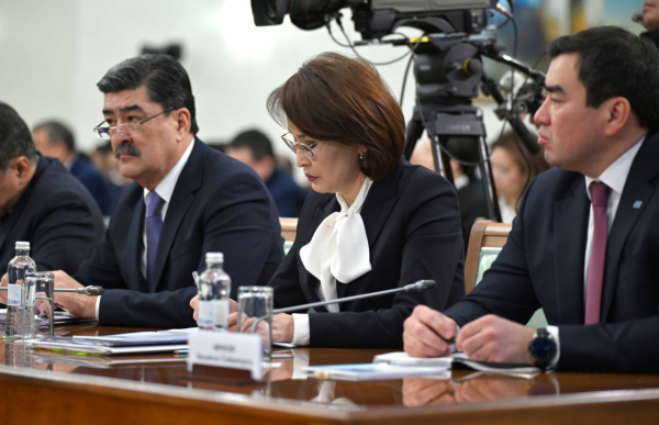 Тоқаев: Мемлекеттік органдар қателіктен сабақ алмайды