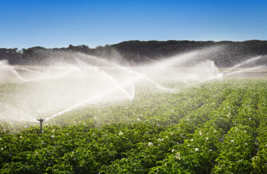 Борьбу с теневым рынком воды обсудили в Кызылординской области