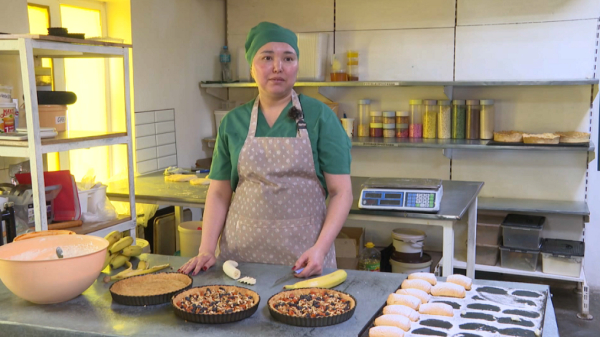 Ақмола облысында «Ауыл аманаты» бағдарламасымен 400 жұмыс орны ашылады