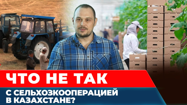 Почему сельхозкооперативы не работают в Казахстане?