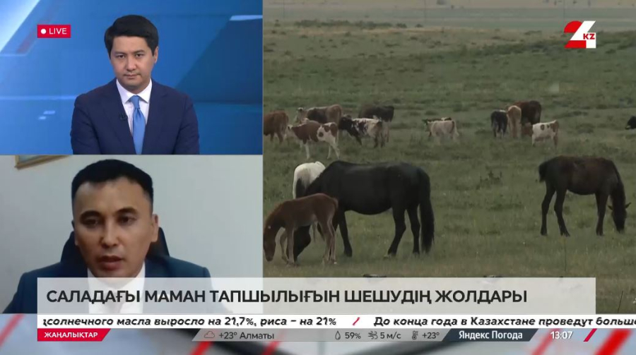 Ветеринариядағы маман тапшылығын шешудің жолдары. Өркен Әкібеков