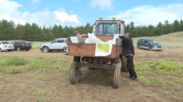 Абай облысында Канонер көлінің жағасы тазартылды
