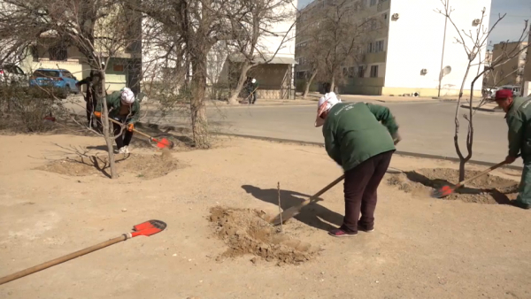 Масштабные субботники охватят Мангистаускую область