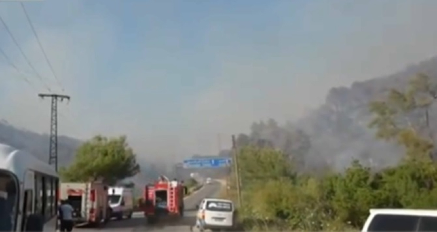 Лесные пожары бушуют на западе Сирии