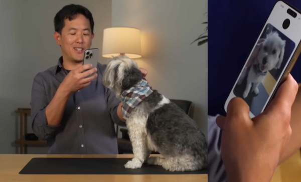 Америкалық ғалымдар иттің тілін түсінетін құрылғы жасап жатыр