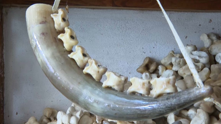 Коллекцию из четырёх тысяч асыков собрал житель Актобе