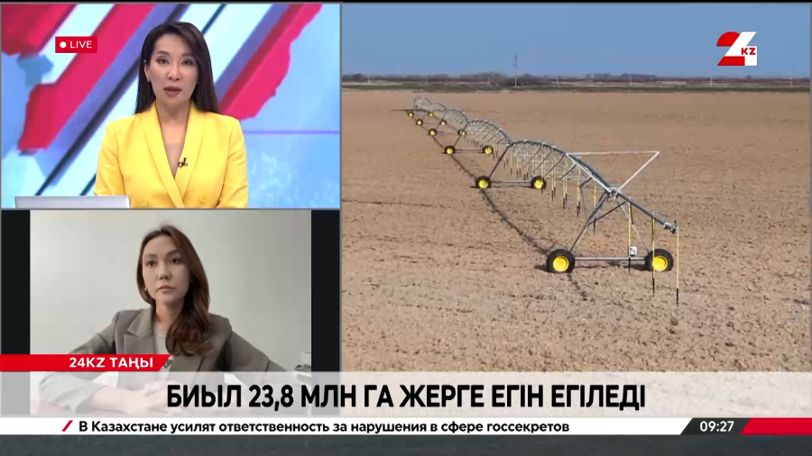Биыл 23,8 млн гектар жерге егін егіледі. Назгүл Хатепова