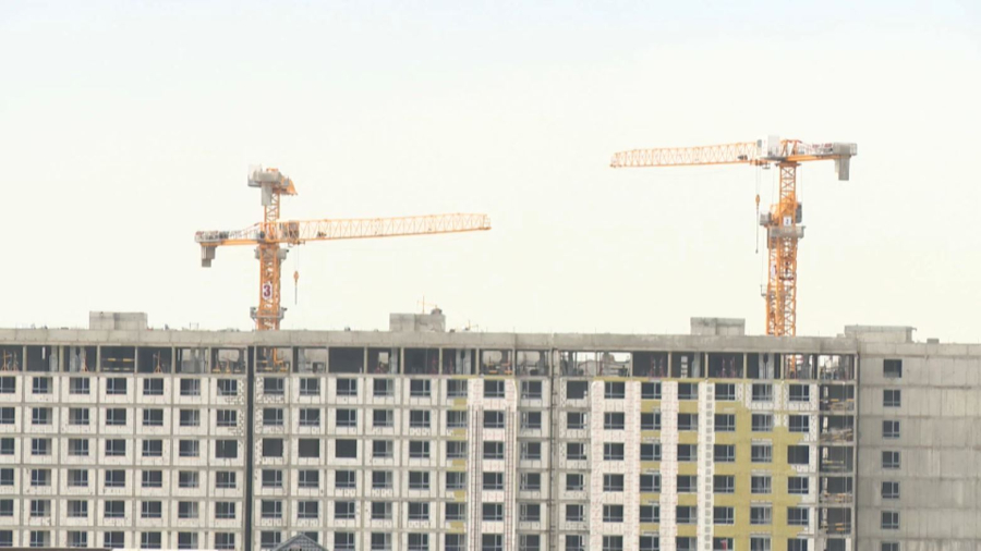 Алматы облысының өнім көлемі едәуір артты