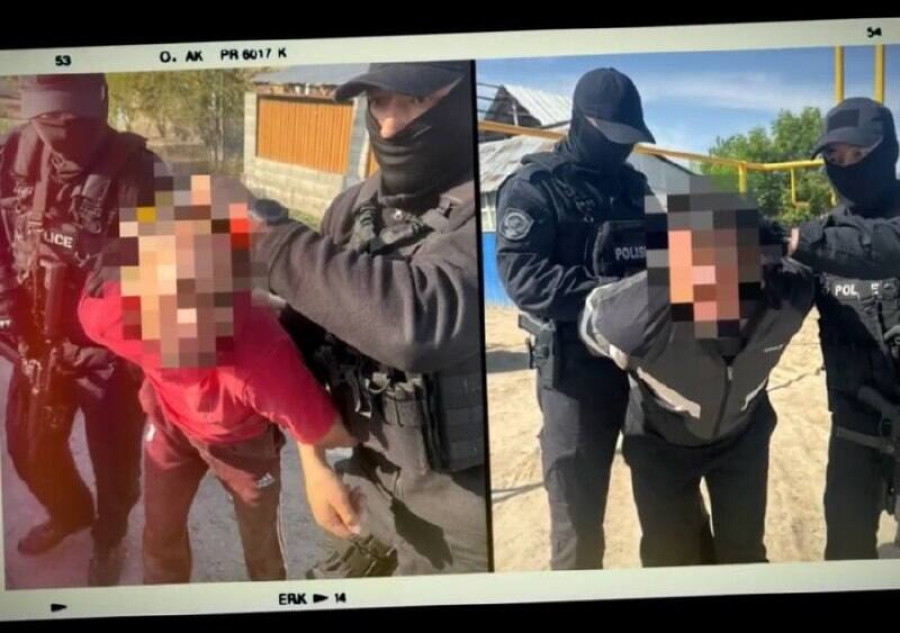Полиция раскрыла схему скотокрадства в Алматинской области