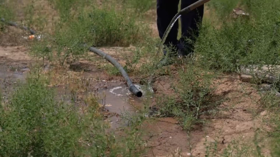 Түркістан облысында жерасты суының деңгейі төмендеп барады