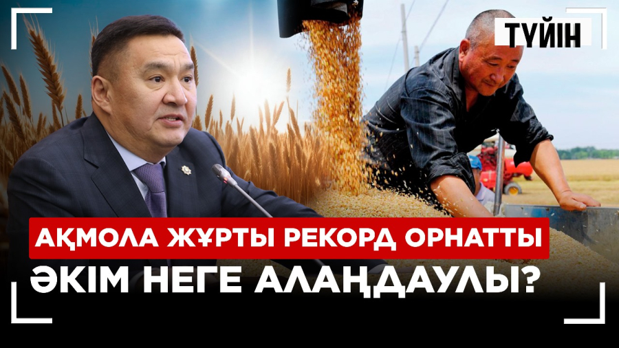 Қазақстан әлемді таңғалдырды. Қамба астыққа толды