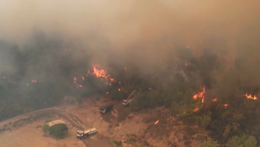 Сирияда орман өрті өршіп тұр