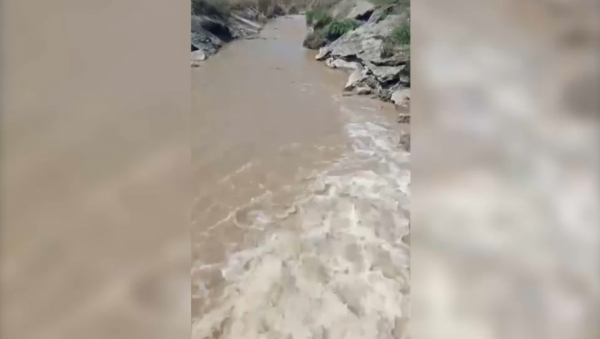 Проблему полива виноградников решили в Туркестанской области