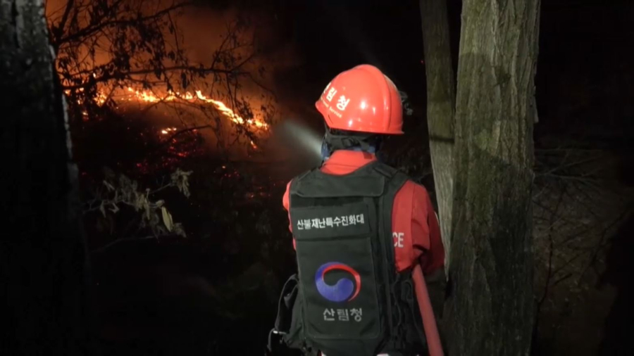 Оңтүстік Кореяда орман өрті басылмай тұр