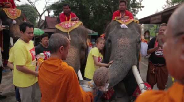 Таиландта Пілдер күні тойланып жатыр