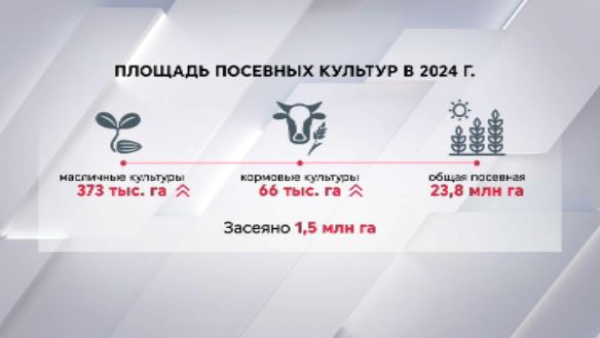Площадь масличных и кормовых культур увеличат в Казахстане