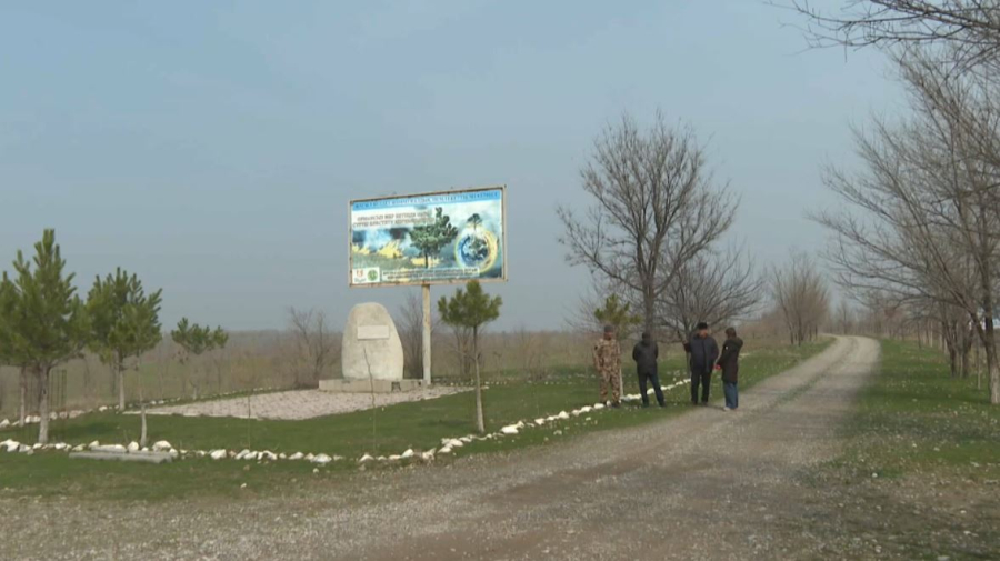 Орман қоры  976 гектарға ұлғайды