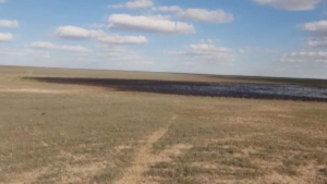 Последствия разлива нефти не могут устранить в Атырауской области