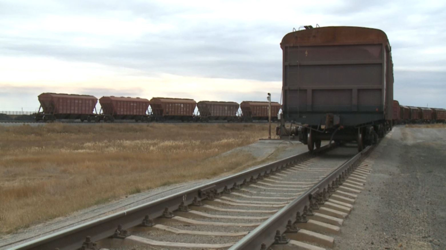 Қазақстанның астығын импорттайтын елдердің қатары артты