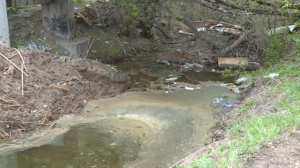 Жители Караганды очистили русло реки Букпа
