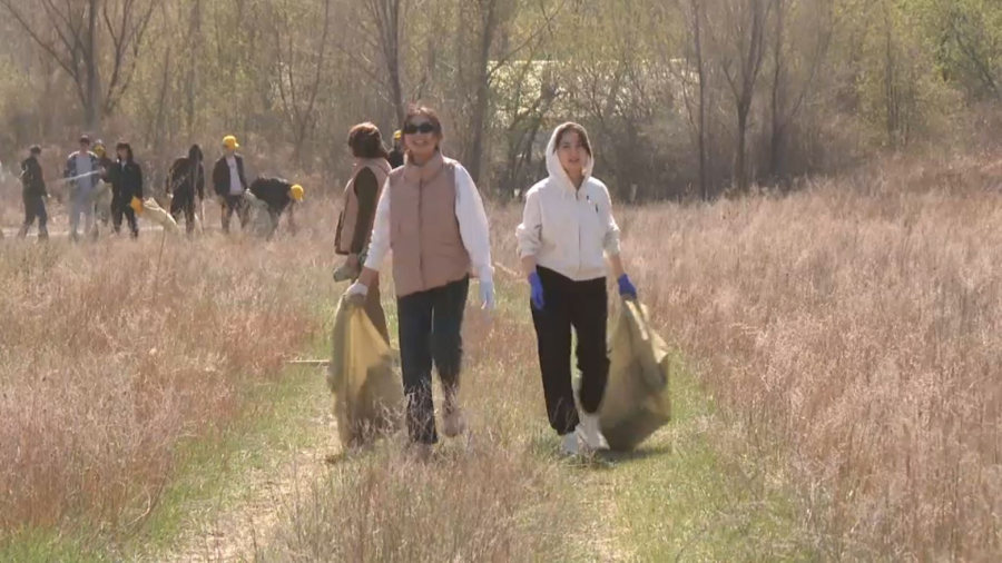 Семейліктер ауыл айналасынан 10 тонна қоқыс шығарылды