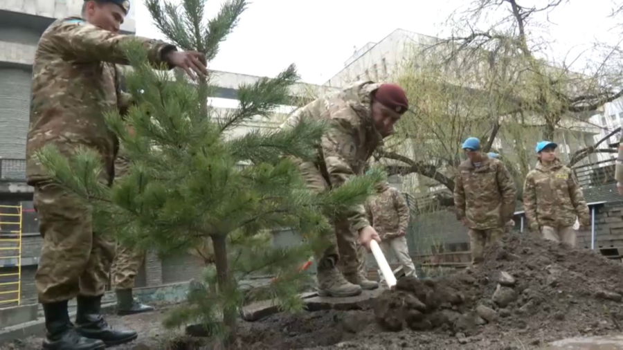 Жеңістің 80 жылдығына арнап ағаш отырғызылды