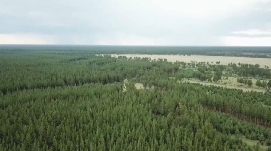 Жасанды жаңбыр өрттің алдын алады